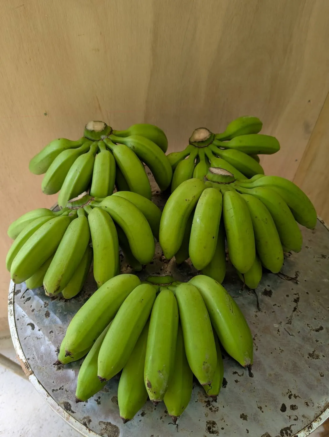 バナナの医学 石垣島産農薬不使用島バナナ 5㎏