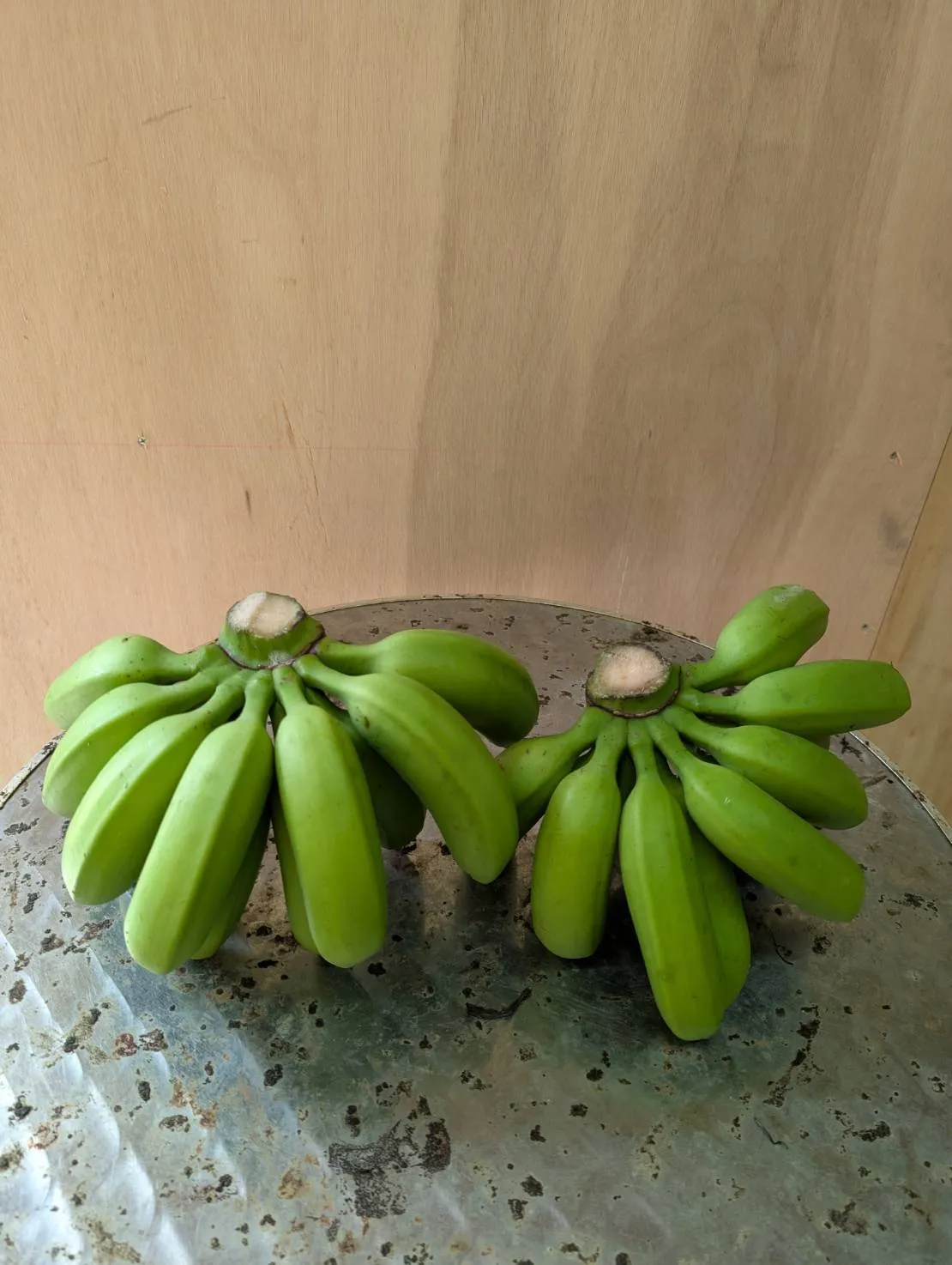 バナナの医学 石垣島産農薬不使用島バナナ 2㎏