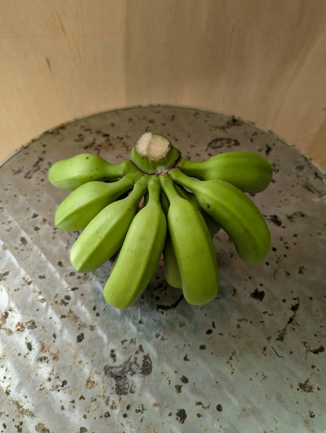 バナナの医学 石垣島産農薬不使用島バナナ 1㎏