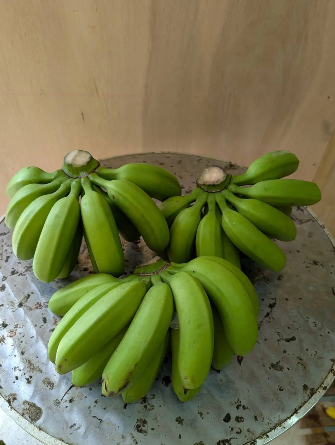 バナナの医学 石垣島産農薬不使用島バナナ 3㎏